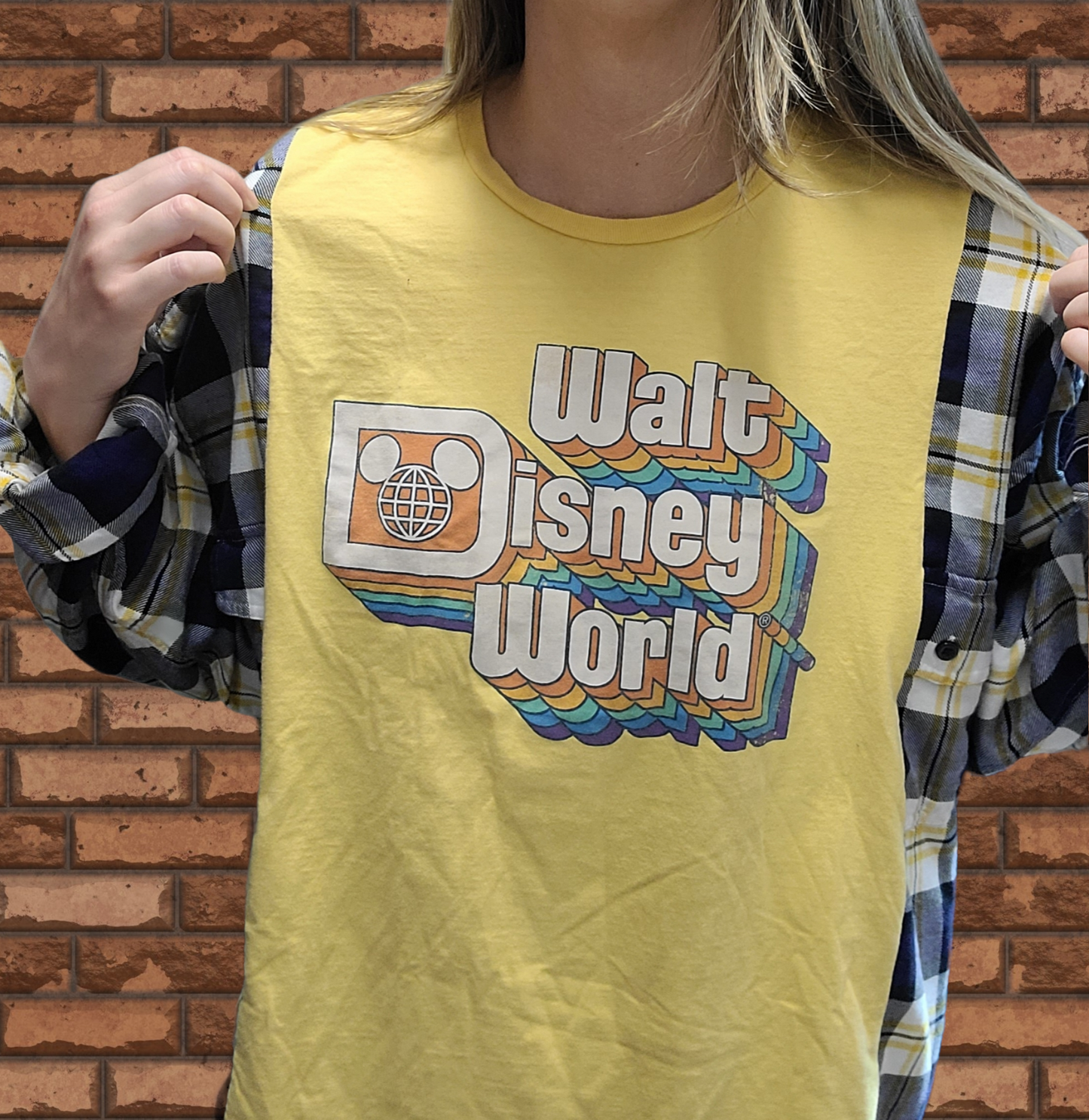 Disney World Flannel